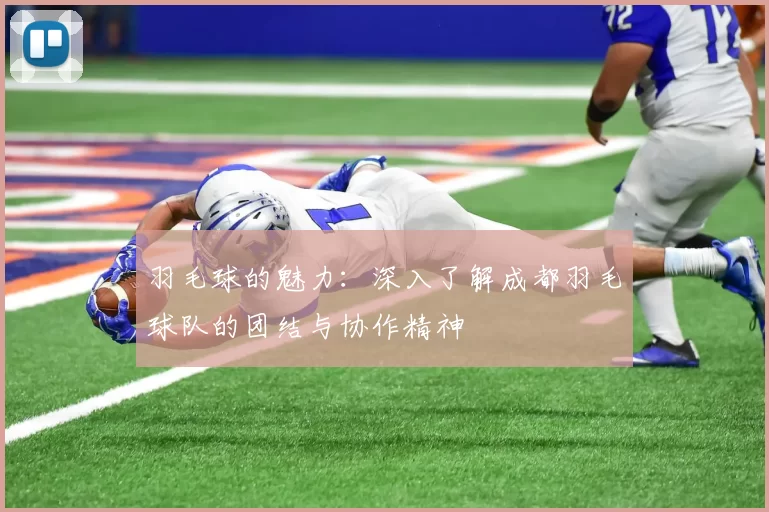 羽毛球的魅力：深入了解成都羽毛球队的团结与协作精神