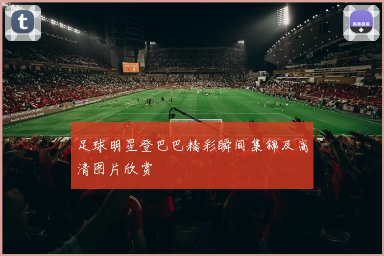 足球明星登巴巴精彩瞬间集锦及高清图片欣赏