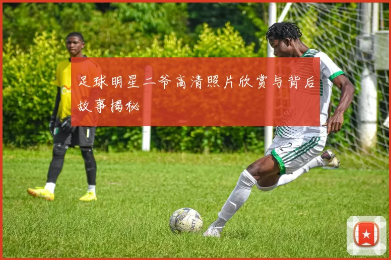 足球明星二爷高清照片欣赏与背后故事揭秘