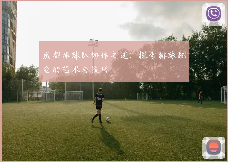 成都排球队协作之道：探索排球配合的艺术与技巧