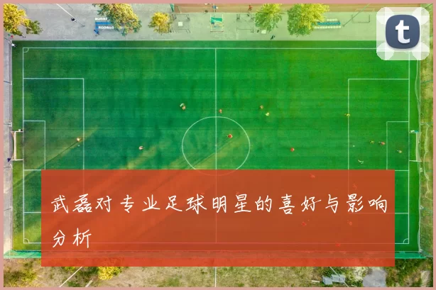 武磊对专业足球明星的喜好与影响分析