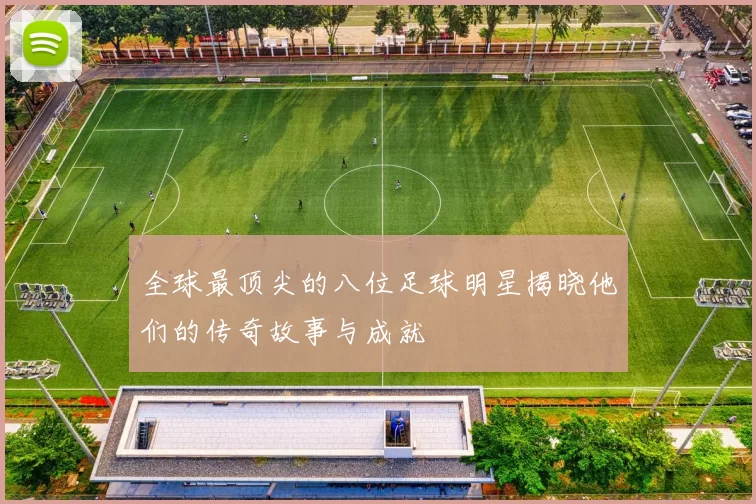 全球最顶尖的八位足球明星揭晓他们的传奇故事与成就