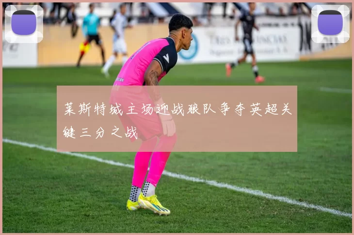 莱斯特城主场迎战狼队争夺英超关键三分之战