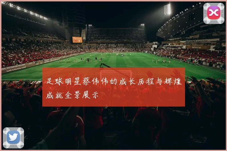 足球明星蔡伟伟的成长历程与辉煌成就全景展示