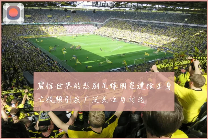 震惊世界的悲剧足球明星遭枪击身亡视频引发广泛关注与讨论