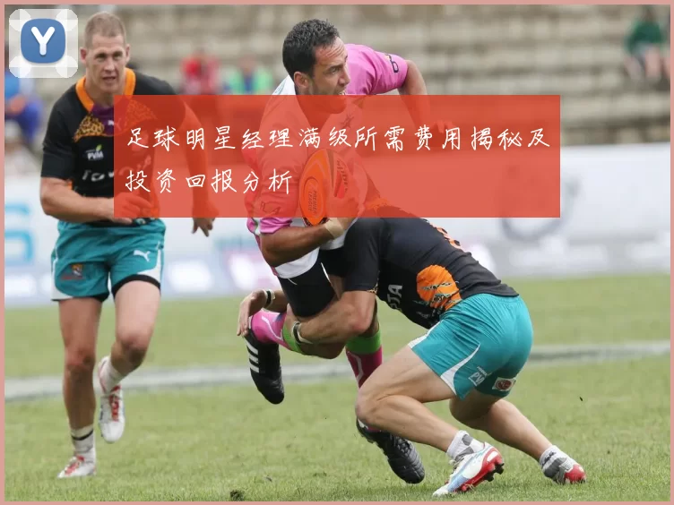 足球明星经理满级所需费用揭秘及投资回报分析