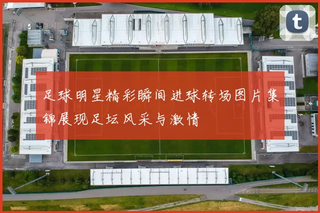 足球明星精彩瞬间进球转场图片集锦展现足坛风采与激情