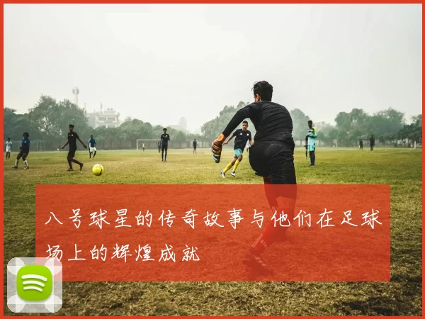 八号球星的传奇故事与他们在足球场上的辉煌成就