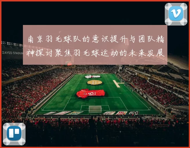 南京羽毛球队的意识提升与团队精神探讨聚焦羽毛球运动的未来发展