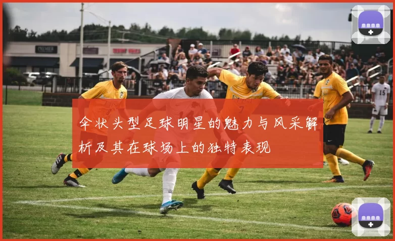 伞状头型足球明星的魅力与风采解析及其在球场上的独特表现