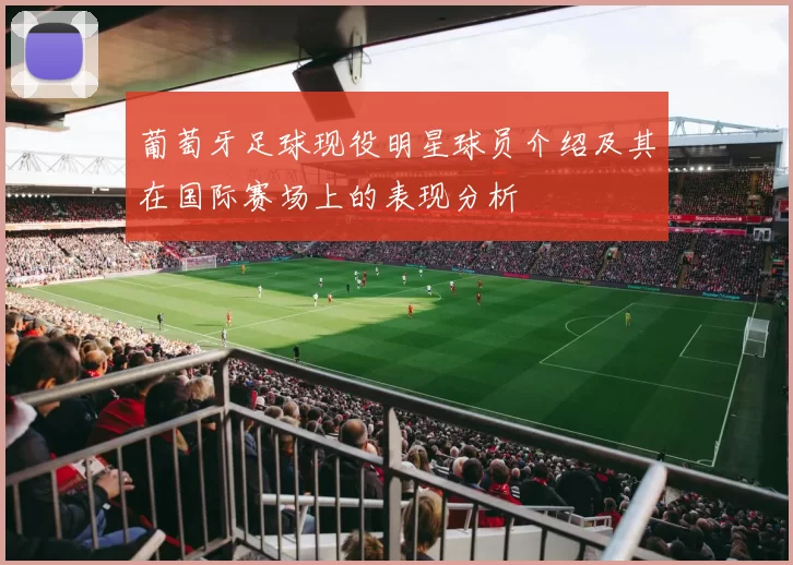 葡萄牙足球现役明星球员介绍及其在国际赛场上的表现分析