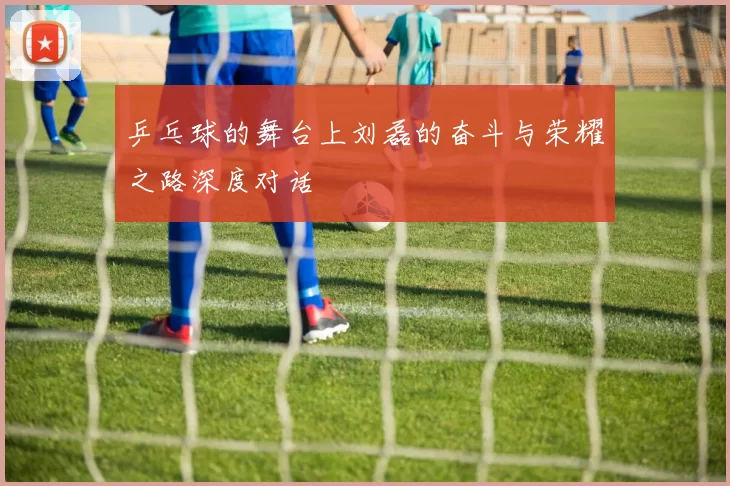 乒乓球的舞台上刘磊的奋斗与荣耀之路深度对话