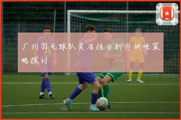 广州羽毛球队灵活性分析与训练策略探讨